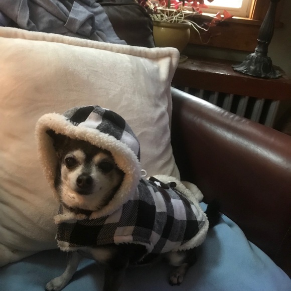 Meet your Posher, Traci & best friend Emma Gemma - Picture 1 of 1